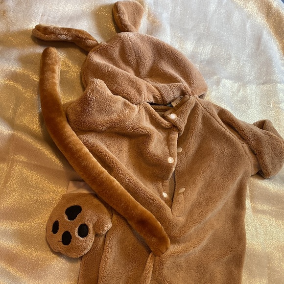Brown Dog costume size 12/24 month - Picture 3 of 4
